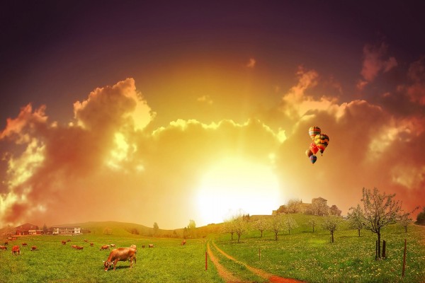 Vacas pastando y en el cielo globos aerostáticos