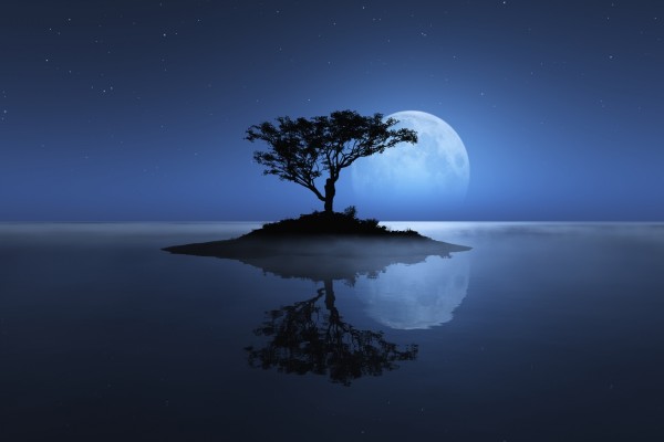 Isla con un árbol, en compañía de la luna