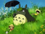 Totoro por el campo