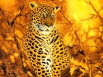 Leopardo en tonos de color fuego
