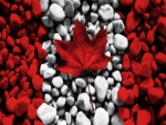 La bandera de Canadá con piedras y una hoja