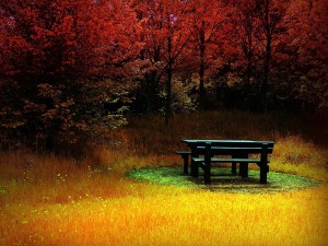 Mesa de madera en un paraje colorido