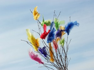 Ramas decoradas con plumas de colores