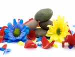 Flores y piedras