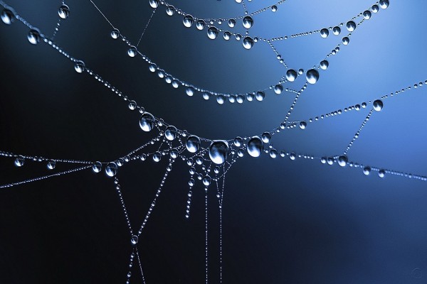 Gotas de agua formando una tela de araña