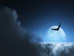 Pájaro sobre las nubes con la luna de fondo