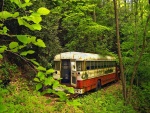 Autobús abandonado en medio del bosque