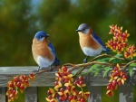 Un par de pájaros de colores