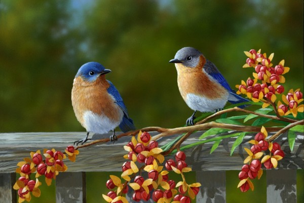Un par de pájaros de colores