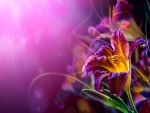Flor bajo una luz violeta