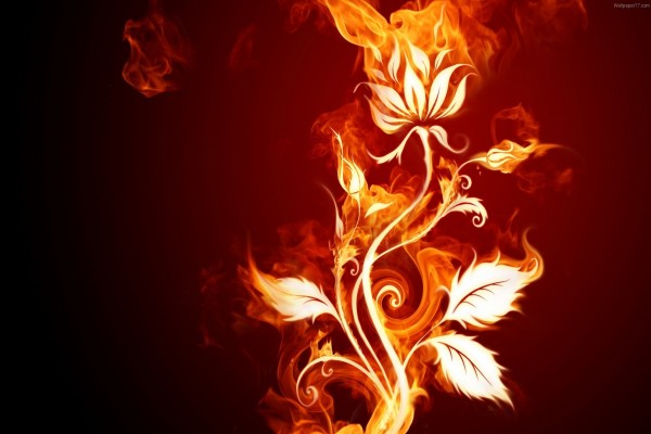 Flor de fuego