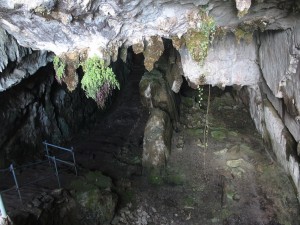 Postal: Interior de la cueva del Pindal, Ribadedeva, Asturias