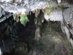 Interior de la cueva del Pindal, Ribadedeva, Asturias