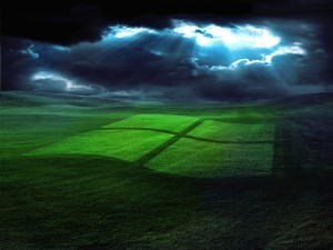 Logo de Windows en la hierba