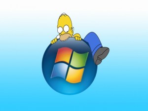 Windows Homer