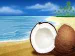 Coco en una playa virtual
