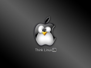 Postal: Think Linux