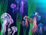 Medusas de varios colores