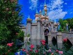 Castillo Disney con un puente y hermosas flores