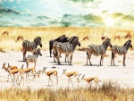Cebras, búfalos y antílopes en África