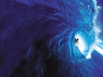 Dentro de una ola azul