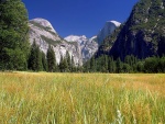 Parque Nacional Yosemite, EE.UU.