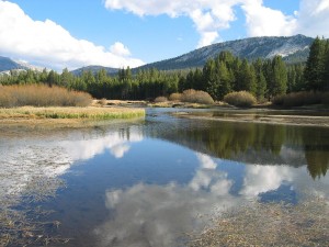 Postal: Río Tuolumne en el Parque Nacional de Yosemite (California, Estados Unidos)