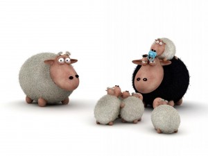 Postal: Familia de ovejas