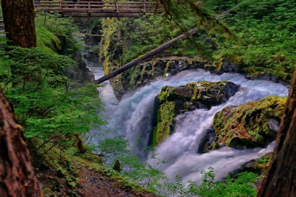 Cascada en el Parque Nacional Olympic (Washington)