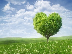 Árbol con forma de corazón