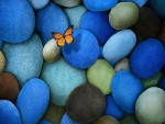 Mariposa volando sobre piedras de colores