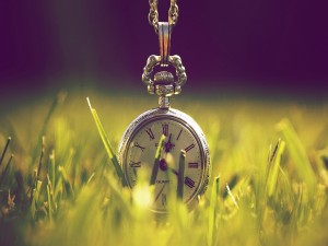 Reloj en la hierba