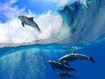 Delfines bajo la ola