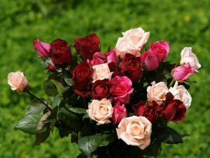 Postal: Ramo de rosas en varios colores