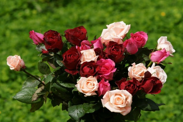 Ramo de rosas en varios colores