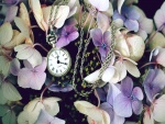 Reloj entre flores