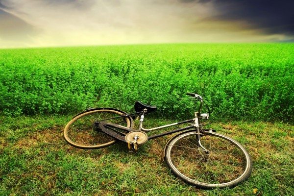 Bicicleta en la hierba