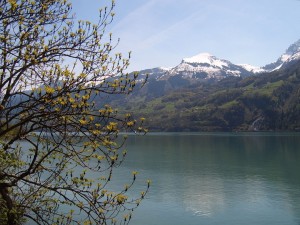 Lago de Walen (Suiza)