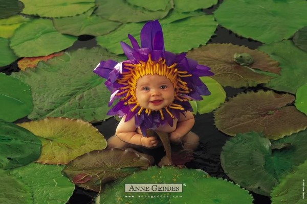 Colección Anne Geddes: Florecilla morada