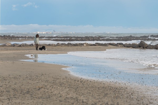 Caminando en la playa junto a su mascota