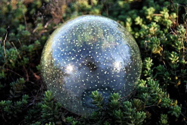 Bola de cristal en los arbustos