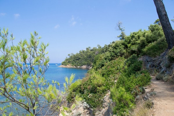 Isla de Port-Cros (Francia)