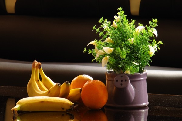 Frutas y una planta