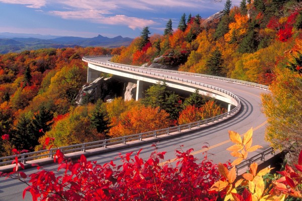 Carretera con árboles en otoño