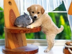 Perrito y conejo
