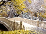 Puente con hojas y nieve
