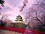 Edificio japonés entre cerezos en flor