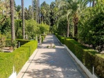 Jardines de los Reales Alcázares de Sevilla (España)