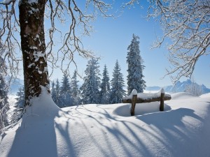 Postal: Paisaje cubierto de nieve