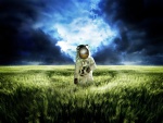 Astronauta en un campo de trigo